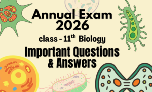 MP BOARD 2026 – Class 11th Biology Important Questions & Answers with Objective Self Test.